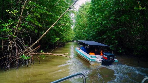 trai nghiem bat cua, cau ca, tham quan vuong tom, xuyen rung ngap man, ngam binh minh hoang hon